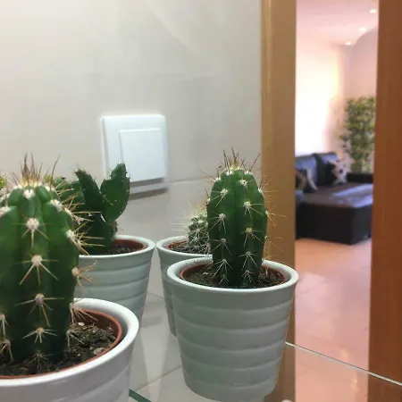 Apartamento T1 Com Piscina شقة